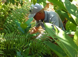 Operativo contra el dengue en la provincia de Los Santos.