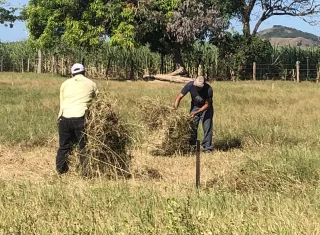 Los ganaderos aseguran que para este año se han venido preparando desde hace meses.