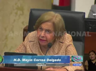 La diputada Mayin Correa aseguró que el candidato presidencial oficialista, José Gabriel Carrizo, vive en un mundo de fantasía.