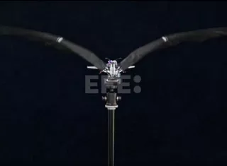 El avión vuela batiendo sus alas como las aves. Captura de video / EFE
