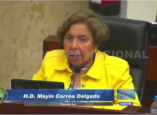 Diputada Mayín Correa.