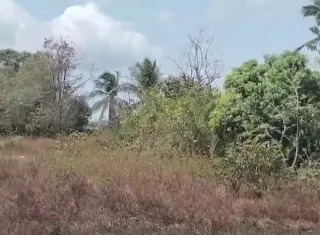 Vista general del área próxima a la escena del crimen.