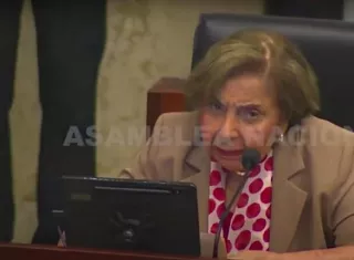 Diputada Mayín Correa.