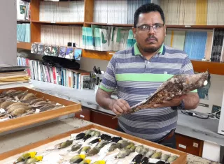 Están abiertos al público en general.