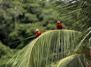 Se avanzar en el diseño y la preparación de un Sistema Nacional de información de Biodiversidad. Foto: Cortesía 