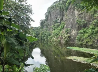 El Lago es el hogar de diferentes especies.