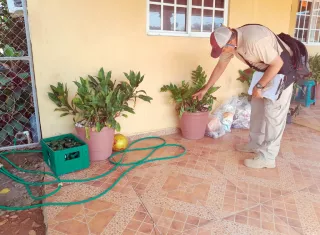 El Minsa reportó 419 casos de dengue en la Semana Epidemiología N°48.