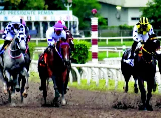 Participantes del Clásico Presidente de la República disputado el pasado 7 de junio en el Hipódromo Presidente Remón.