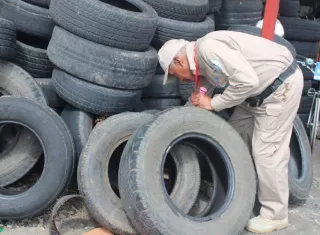 Panamá registra 31,605 casos acumulados de dengue y 52 decesos hasta la semana epidemiológica N°51.