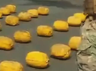 El bote transportaba las falsas boyas.