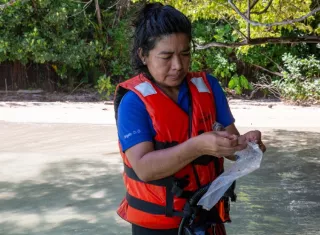 Nueva especie de pez fósil de Panamá lleva el nombre de investigadora Ngäbe del Smithsonian