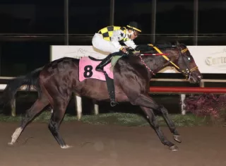 Booz Baruc, ejemplar ganador del Clásico Luis Shirley. 