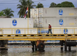 Chiquita realiza la primera cosecha de banano en Bocas