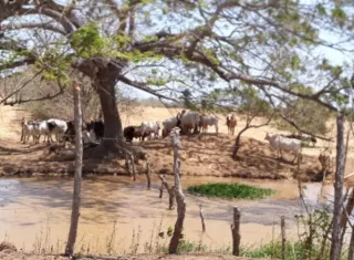 Fenómeno de El Niño podría llegar entre junio y agosto