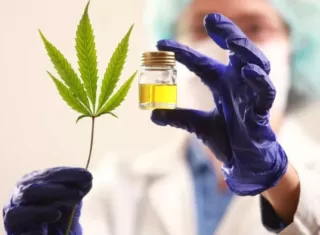 Cannabis Medicinal: Minsa instala Consejo Técnico