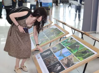 Exposición para promover la conservación ambiental