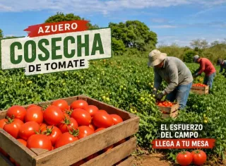 DIÉSEL POR LAS NUBES PONE A TEMBLAR LA COSECHA EN AZUERO