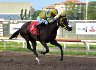 Doña Perfecta en los metros finales del Clásico Temístocles Díaz Q. que se disputó ayer en el Hipódromo Presidente Remón.