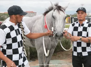El ejemplar Come Candela estaba trabajando muy bien para esta carrera pero sufrió el percance físico.