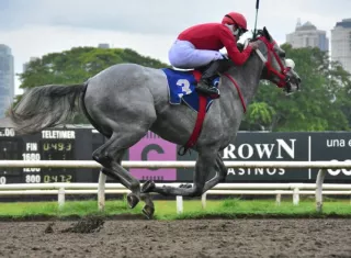 El ejemplar Macho Mule durante la carrera.