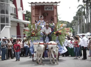 Desfile de carretas parte del desfile en Juan Díaz.  (Foto:Ilustrativa)