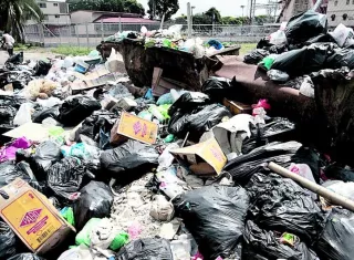 Pataconcitos en la ciudad capital.