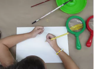 MAC tendrá mañana el Taller Hongos: Bajo la lupa. Foto: Instagram