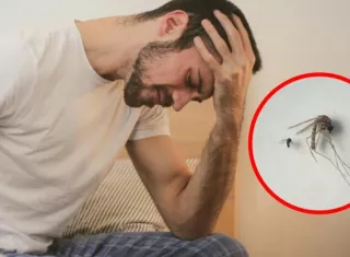 Los casos identificados son en los corregimientos de Metetí, Yaviza, Río Iglesia y Lajas Blancas. Foto: Cortesía