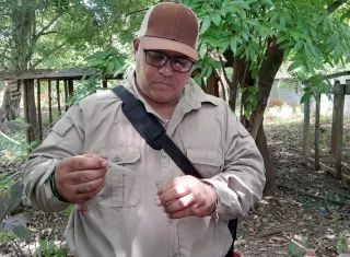 La batalla contra el mosquito Aedes continúa.