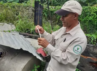 Sigue el combate contra el mosquito Aedes Aegyti.