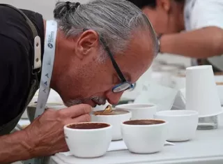 Café panameño cotizado mundialmente.