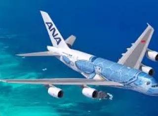 Aerolínea japonesa All Nippon Airways (ANA).