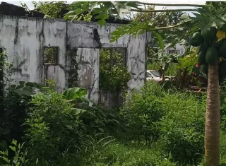 Casas abandonada y herbazales rodean a la comunidad.