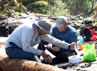 Investigación en campo.