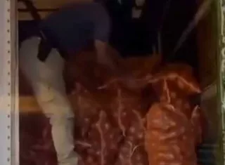 Detectan presunto contrabando de cebolla en un camión.