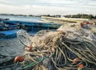Redes fantasmas dañan el ecosistema.