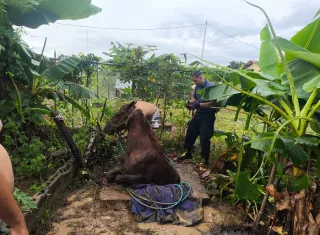 Toda la parte trasera del equipo quedó dentro de la fosa séptica.  /  Foto: BCBRP