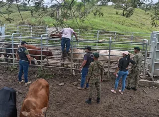 DIJ y personal del Senafront durante el operativo.