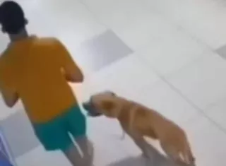 Acto de abandono animal.