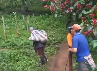 Un profesor carga el cuerpo de una de las estudiantes fallecidas.
