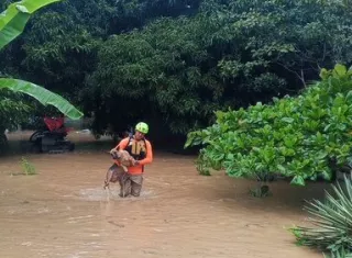 Funcionario de Sinaproc salva a un perro tras inundaciones.