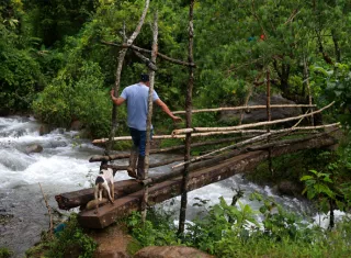  Un hombre camina acompañado de un perro sobre un puente este viernes, en el poblado de Cascabel, distrito de Mironó. Foto: EFE