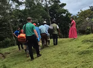 Se recomienda mantener medidas higiénicas.