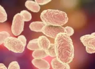 El Minsa mantiene una alerta sanitaria en las áreas comarcales.