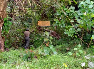 Guardaparques de MIAMBIENTE y la Policía Ambiental están al frente de los patrullajes.