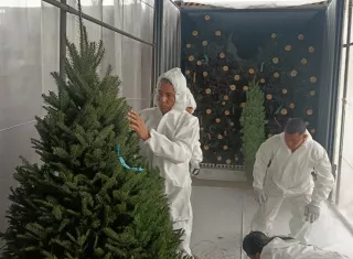 La Navidad ya asomó y con estos primeros pinitos, Panamá entra oficialmente en modo diciembre.