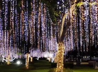 Los parques de la ciudad estarán lleno de luces, colores y alegría.