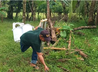 Sobrevivió a una serpiente venenosa, pero su vida nunca fue igual