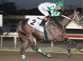 El ejemplar mexicano Lodyto Race en la recta final del Clásico Internacional del Caribe. Foto: Hipódromo Presidente Remón