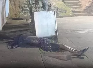 Asesinado a tiros en la barriada Santa Rita de Pacora